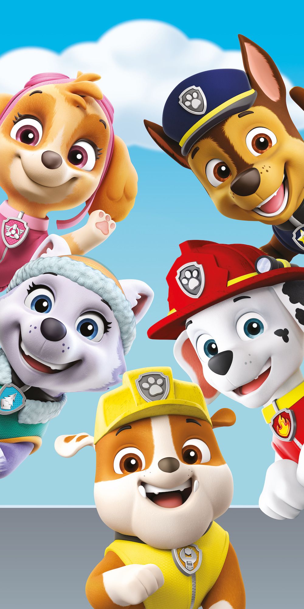 Paw Patrol Handdoek 70x140 Katoen Duurzaam