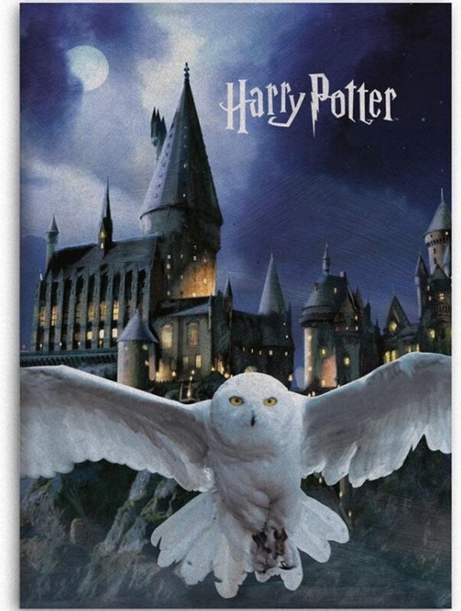 Harry Potter Fleece deken Hogwarts Hedwig - 100 x 140 cm - Polyester Plaid