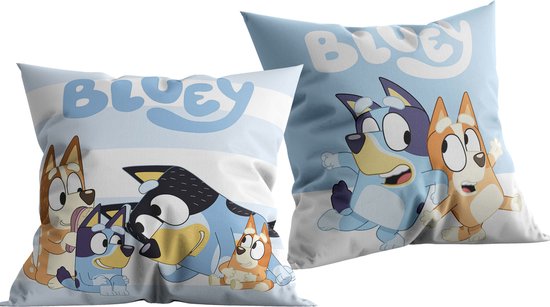 Bluey Kussen 40x40 Gevuld Duurzaam