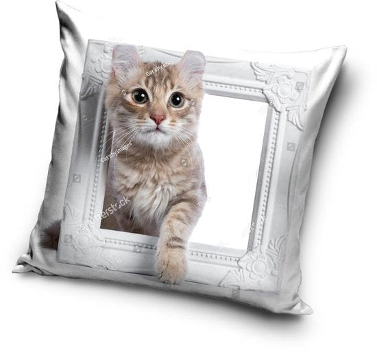 Poesje Kat Sierkussen 40x40cm Duurzaam 3D Effect