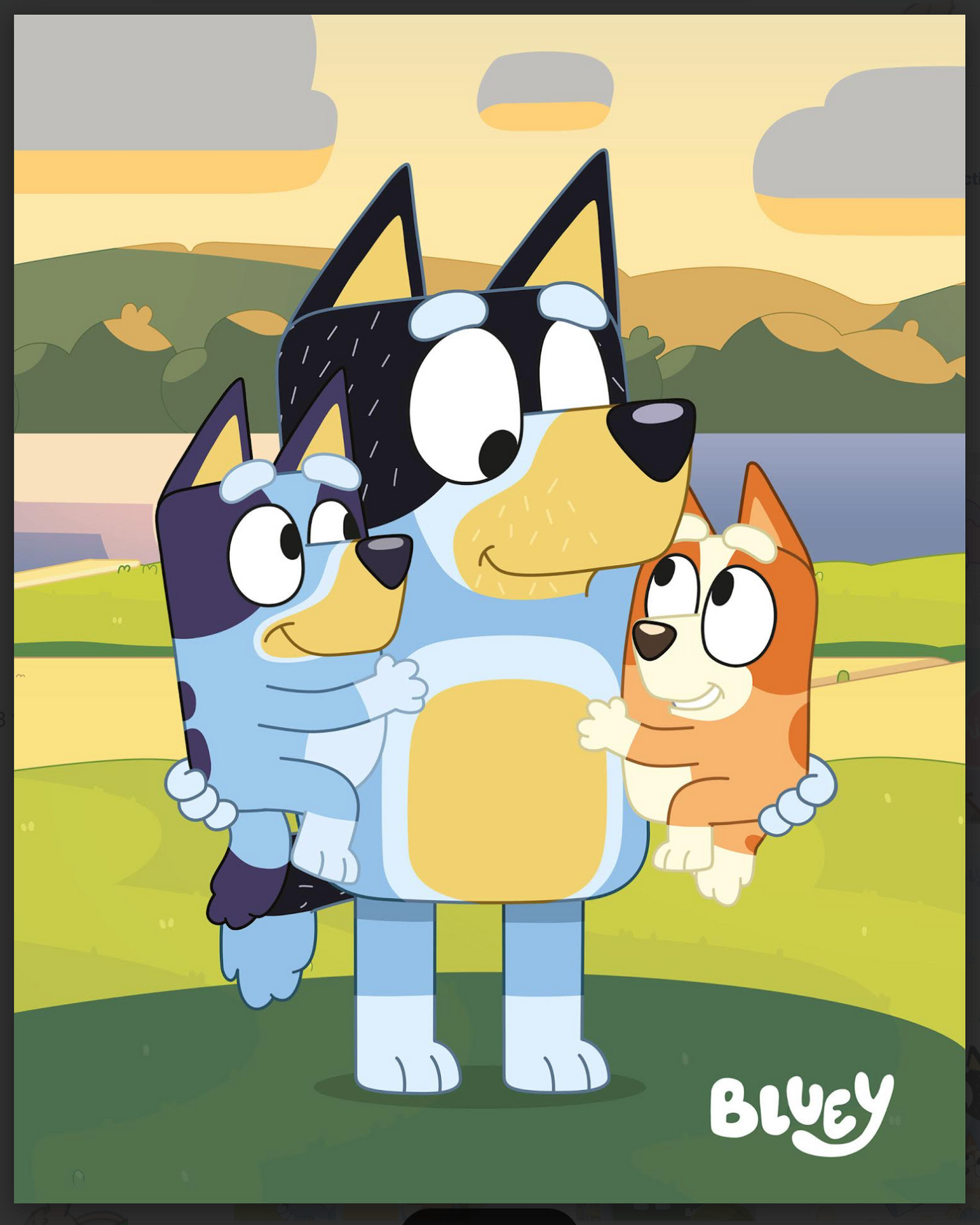 Bluey Fleece Plaid Blanket Deken 120x150 Polyester