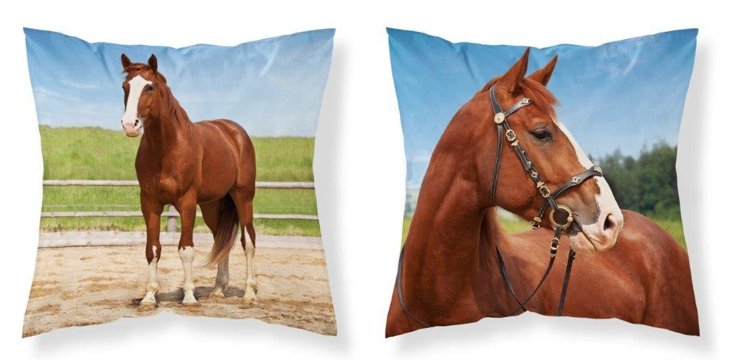 Paard sierkussen 40x40cm INCL vulling 2in1