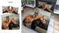 Paard Dekbedovertrek Tweepersoons 220x200 2in1 Duurzaam 3D Effect