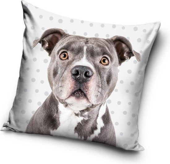 Puppy Sierkussen 40x40cm Hondje Pitbull
