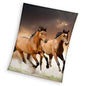 Paard Deken 150x200 Coral Fleece