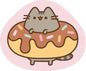 Pusheen knuffel 40x40cm Gevuld