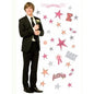 HIGH SCHOOL MUSICAL DECORATIE STICKER TROY MAXI