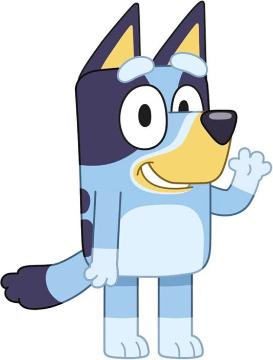 Bluey Kussen Gevuld 27x35 Zacht Velboa