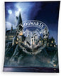 Harry Potter Fleece Plaid Deken 150x200 Groot