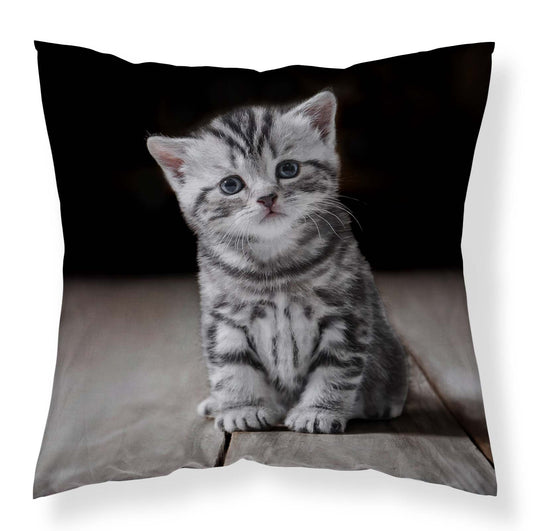 Poesje Kat Sierkussen 40x40cm Duurzaam