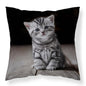 Poesje Kat Sierkussen 40x40cm Duurzaam