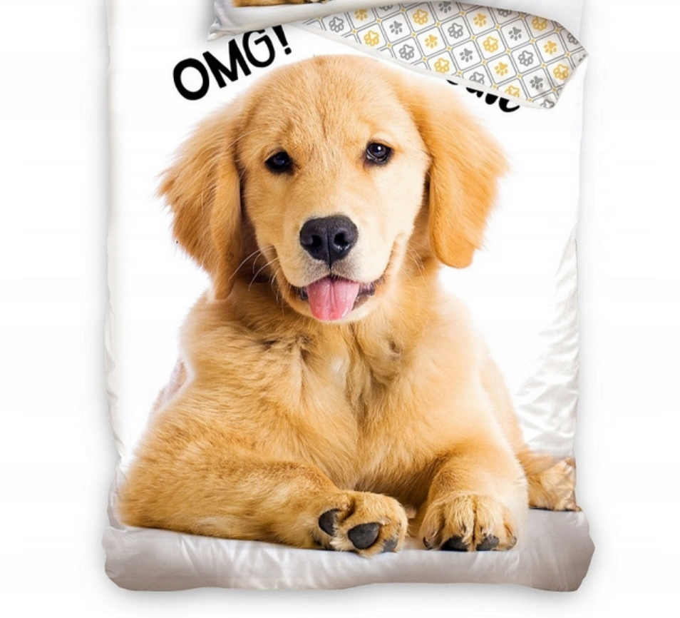 Golden Retriever Puppy Hond Dekbedovertrek 140x200 Katoen 2in1