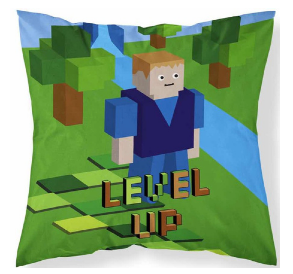 Minecraft SierKussen 40x40 Zacht Gevuld 2in1