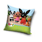 Bing Bunny Kussen Vrienden