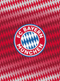 FC Bayern München Logo Fleece Deken 130x170 Fleece
