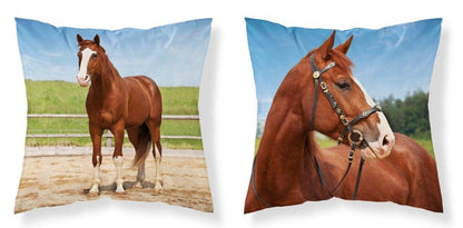 Paard sierkussen 40x40cm INCL vulling 2in1