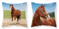 Paard sierkussen 40x40cm INCL vulling 2in1