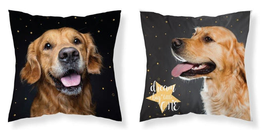Golden Retriever Sierkussen kussen 40x40cm incl vulling
